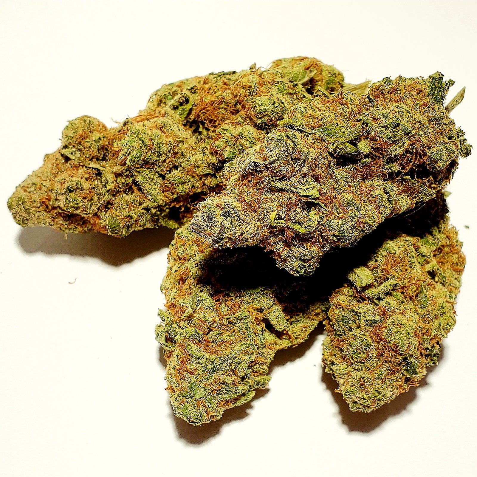 TERP SMOOTHIE | 1/4oz | 23%